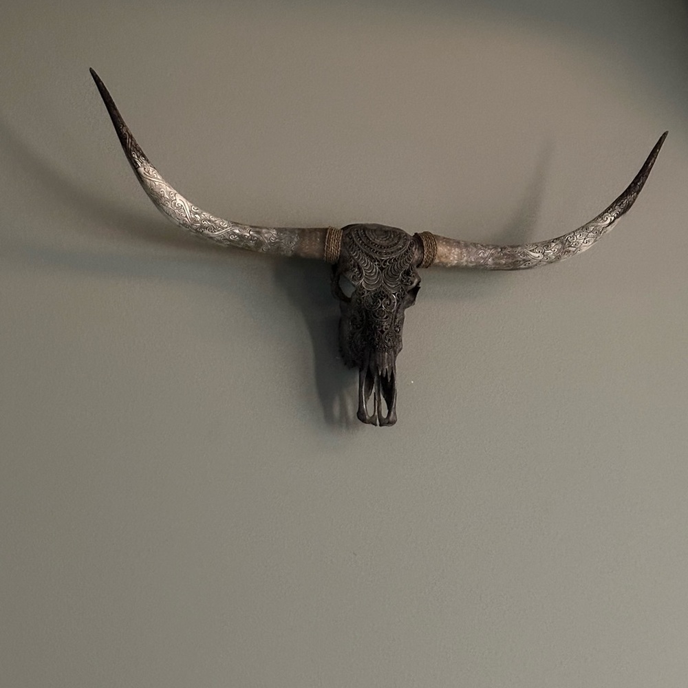 Decorative Longhorn Skull Wall Accent